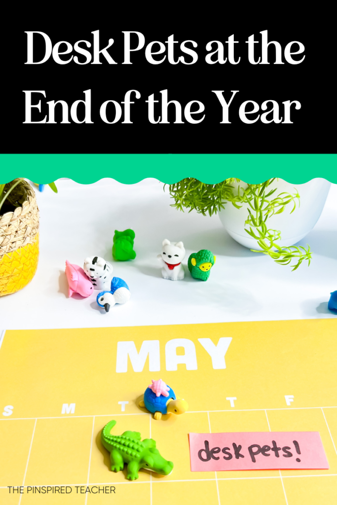 desk pets at the end of the year ideas by the pinspired teacher